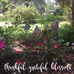 Meet your Posher, Kitty